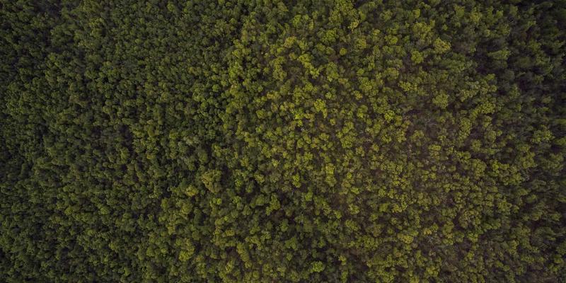 大型活动电力保障全解析：广西鼎坚电力如何用专业电气设备与解决方案确保不间断供电