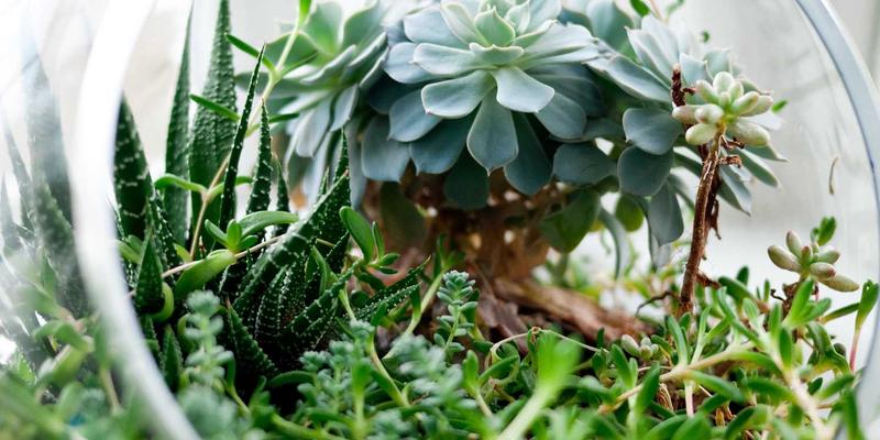 广西鼎坚电力41：深耕电气产品与电力安装，铸就八桂大地电力安全基石