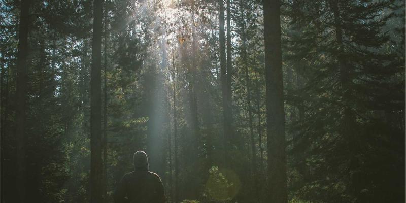 广西鼎坚电力57：深耕电气设备与电力工程，赋能智慧能源未来