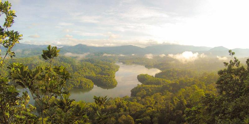 广西鼎坚电力61：深耕电气设备与电力解决方案，赋能现代电力安装新标杆