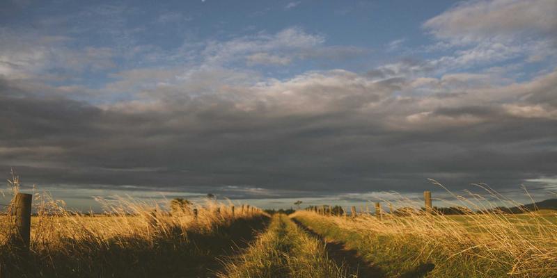 广西鼎坚电力8：专业电力解决方案与智能维护，赋能企业电气设备高效运行