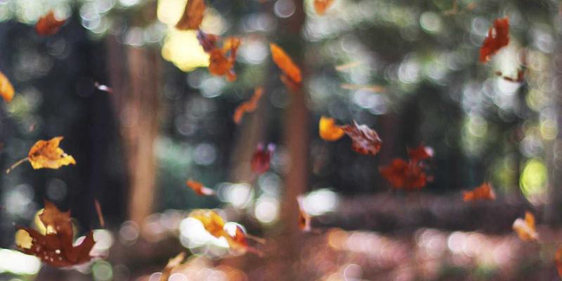 广西鼎坚电力：专业电力安装与工程保障，为大型活动提供可靠临时电力解决方案