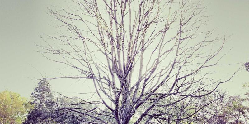 广西鼎坚电力：为精密制造业量身打造电能质量治理方案