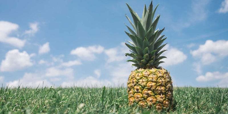 广西鼎坚电力：制定高效电力设备预防性维护计划的三大关键步骤