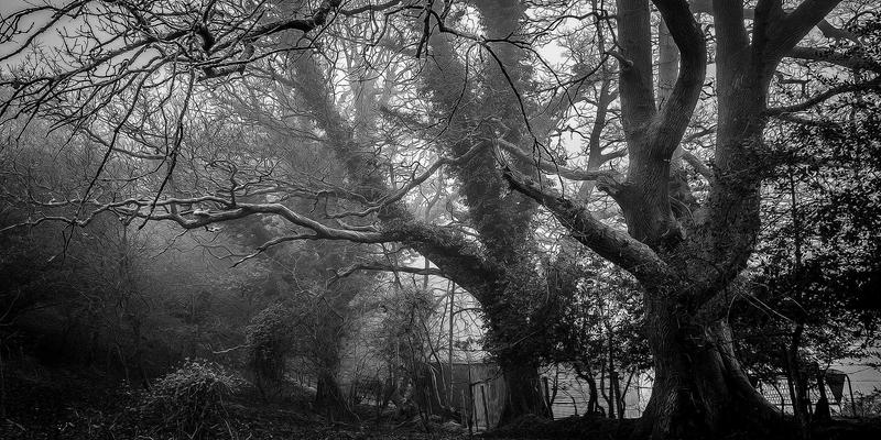 广西鼎坚电力：工业用电节能改造的三大核心解决方案与专业电力维护