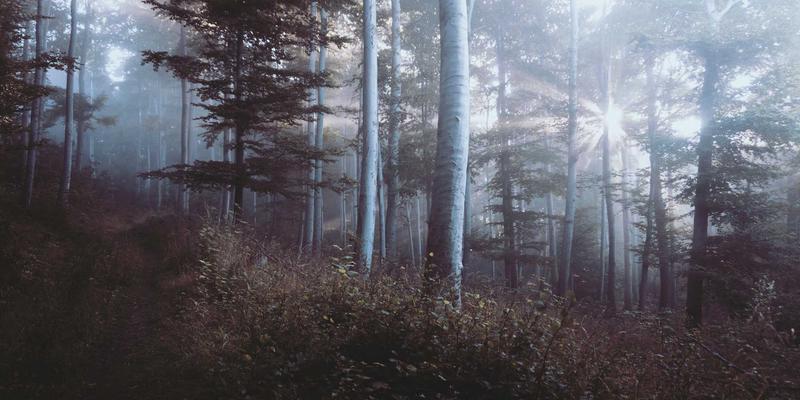 广西鼎坚电力：构建交通枢纽电力保障体系的专业解决方案