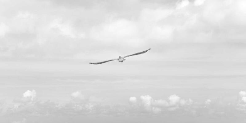 广西鼎坚电力：模块化预制舱式变电站如何革新电力安装与维护