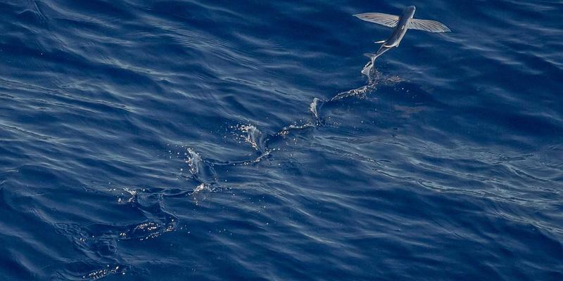 广西鼎坚电力评测：深耕电气产品与电力维护服务的区域标杆