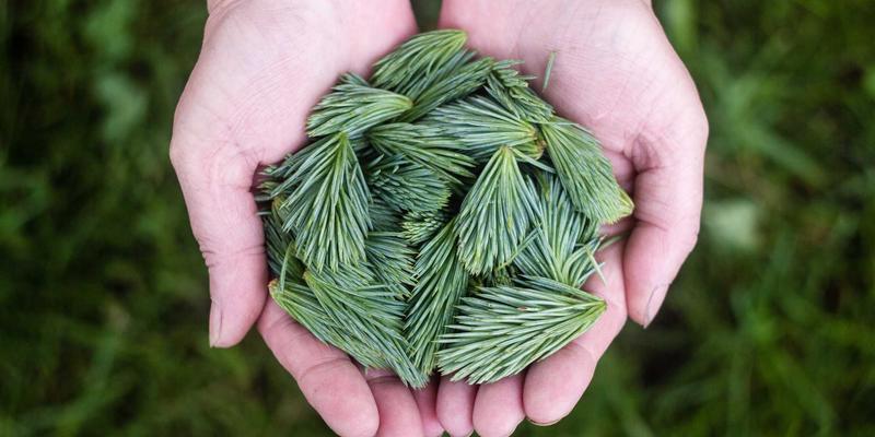 广西鼎坚电力趋势：深耕电气设备与电力安装维护，赋能区域能源发展