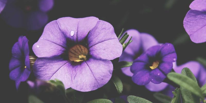 广西鼎坚电力：高压输变电工程中的核心施工技术与质量控制要点解析