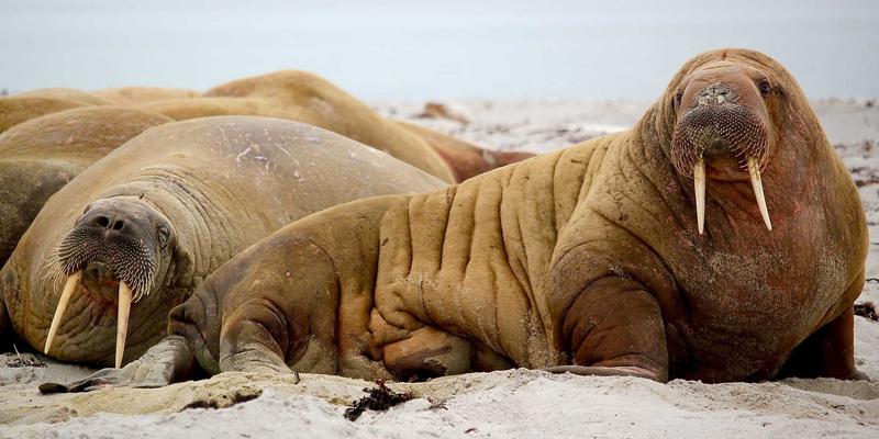 赋能绿色未来：广西鼎坚电力光伏电站建设与电力解决方案成功实践